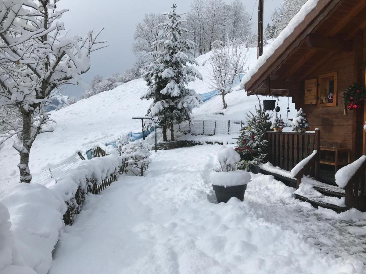 Le Bouchet-Mont CharvinLe Blanc Nordique别墅 外观 照片