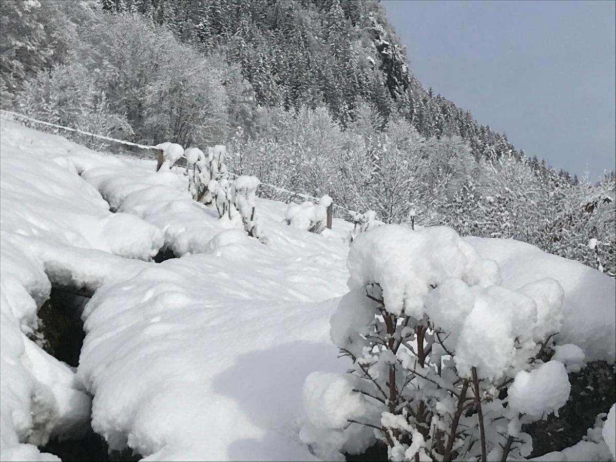 Le Bouchet-Mont CharvinLe Blanc Nordique别墅 外观 照片